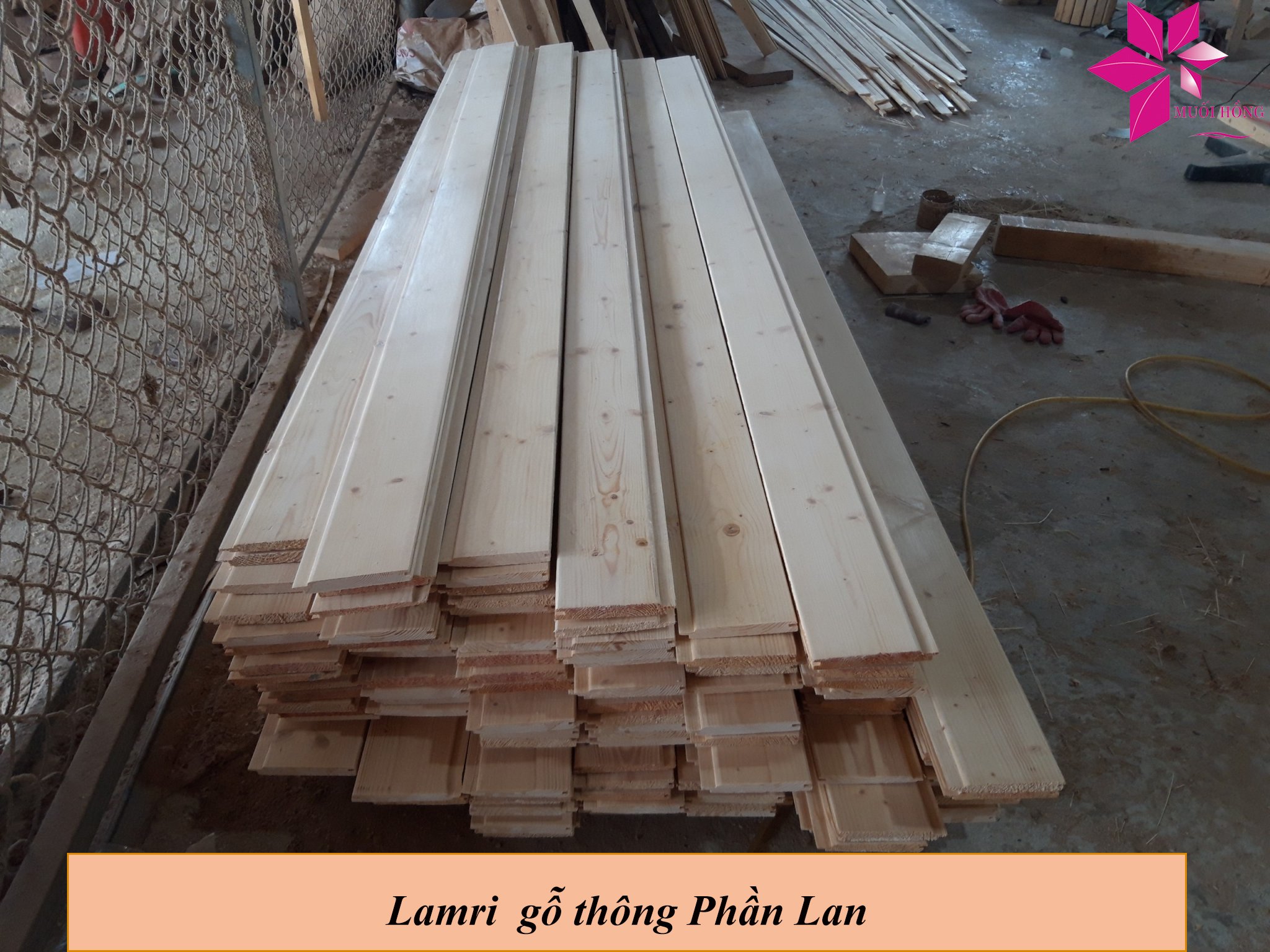 Lamri gỗ thông Phần Lan - Công Ty TNHH Muối Hồng
